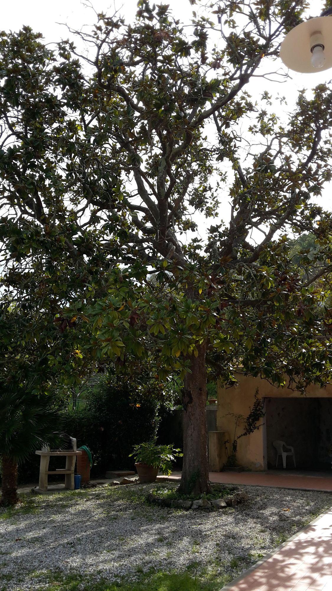 Ferienhaus Villa Della Querceta Livorno Esterno foto